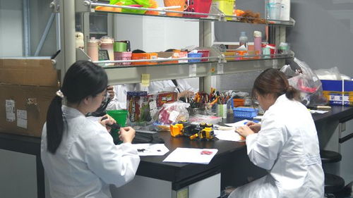 小玩具玩轉大市場 玩具禮品之都活力無限，技術服務賦能產業升級